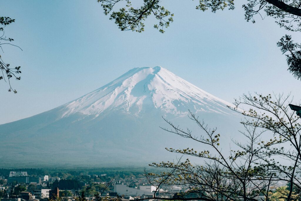 filiz elaerts J C3 JpJMms unsplash 1