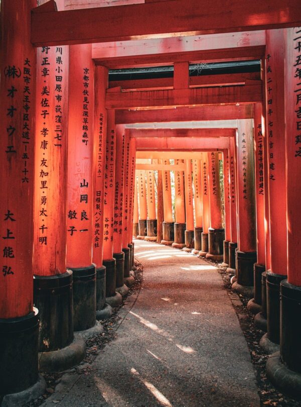 shrine, torii, japan, fushimi, nature, temple, kyoto, fushimi inari, japanese, culture, asia, architecture, traditional, famous, landmark, sightseeing, fushimi-inari shrine, historical, tourism