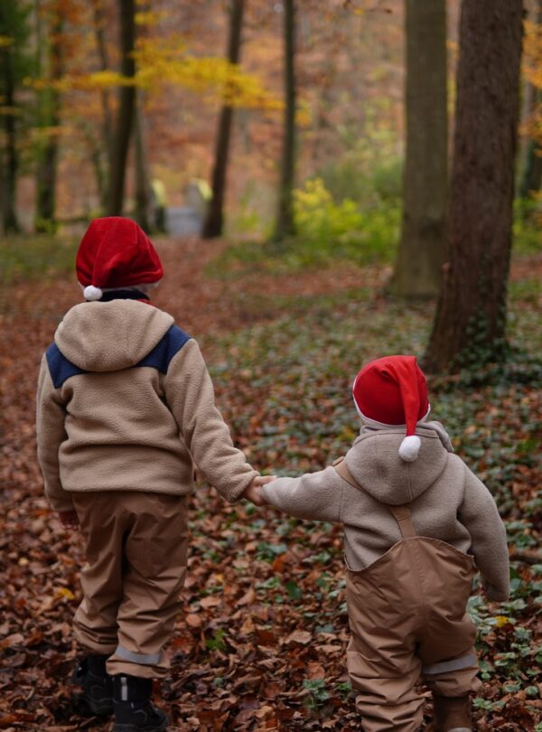 christmas, christmas hats, forest, children, siblings, two little boys, hand in hand, red white, christmas helpers, beautiful wallpaper, merry christmas, childhood, happiness, family, nature, bridge, christmas card, christmas greetings, background, cellphone wallpaper, background image, brothers, love, imp, magic