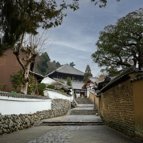 pathway, path, nigatsudo hall, todaiji temple, wooden building, wooden structure, nara, japan, buddhism, pathway, pathway, pathway, pathway, pathway, japan, japan, japan