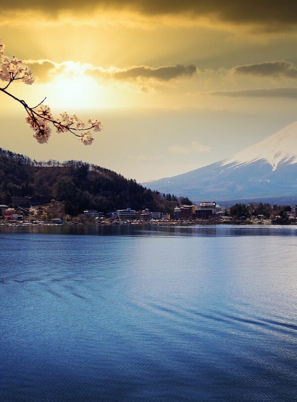 lake, mount fuji, sunset, the water, nature, cherry blossoms, dusk, sun, the sunlight, volcano, japan, fuji, mount fuji, mount fuji, mount fuji, mount fuji, mount fuji, fuji, fuji