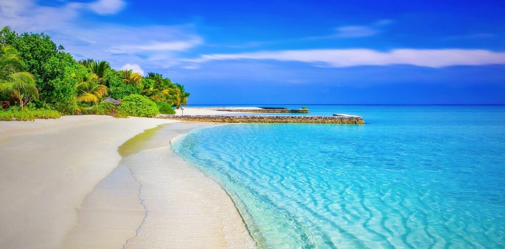 beach, sea, panorama, panoramic, blue sea, blue ocean, horizon, seascape, tropical, tropical island, shore, seashore, coast, coastline, sandy beach, paradise, palm trees, ocean, water, nature, holiday, white sand, exotica, blue, warm, relax, exotic, island, secluded beach