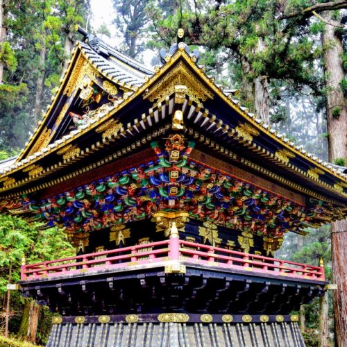 A beautifully ornate Japanese temple amongst towering trees in Nikko, Japan.