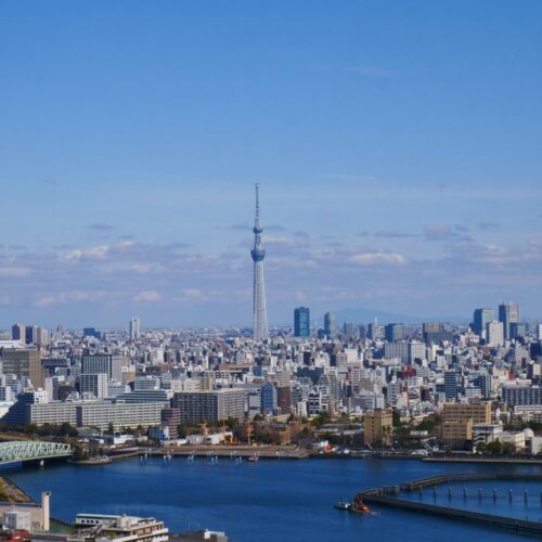A breathtaking aerial view of Tokyo's skyline featuring the iconic Tokyo Skytree.