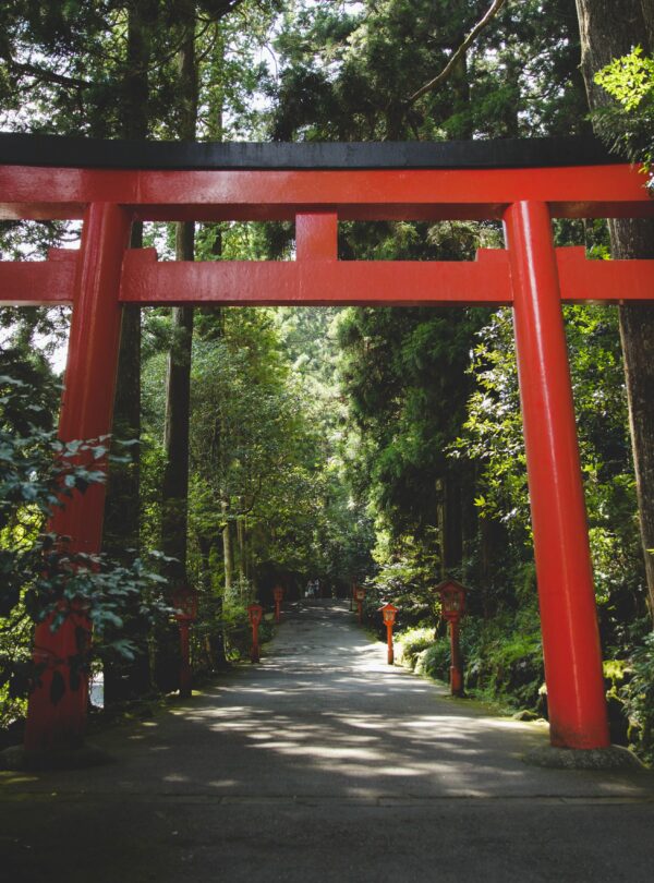 Discover the iconic red Torii gate nestled in a serene forest setting in Hakone, Japan.