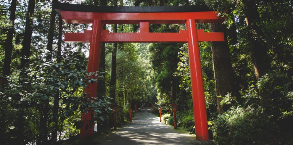 Discover the iconic red Torii gate nestled in a serene forest setting in Hakone, Japan.