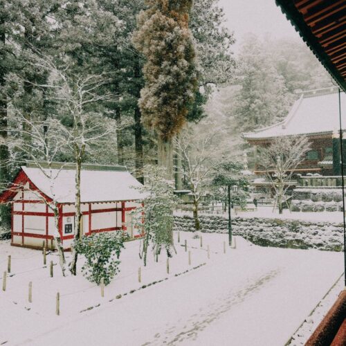 Captured in winter, this serene snowy scene at Nikko Toshogu Shrine showcases traditional Japanese architecture surrounded by a tranquil forest setting.