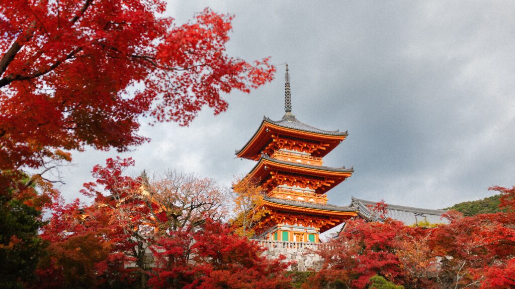 Trip Search Result Beautiful view of Kiyomizu-dera Temple surrounded by vibrant autumn foliage in Japan.