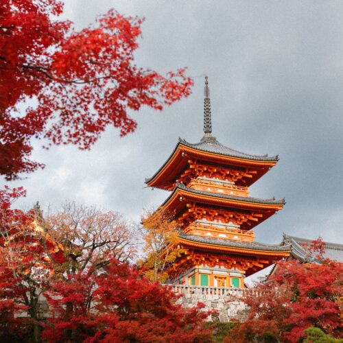 Beautiful view of Kiyomizu-dera Temple surrounded by vibrant autumn foliage in Japan.