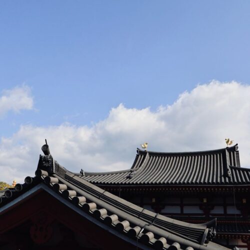 Beautiful traditional temple roof with intricate carvings set against a clear blue sky in Nara, Japan.