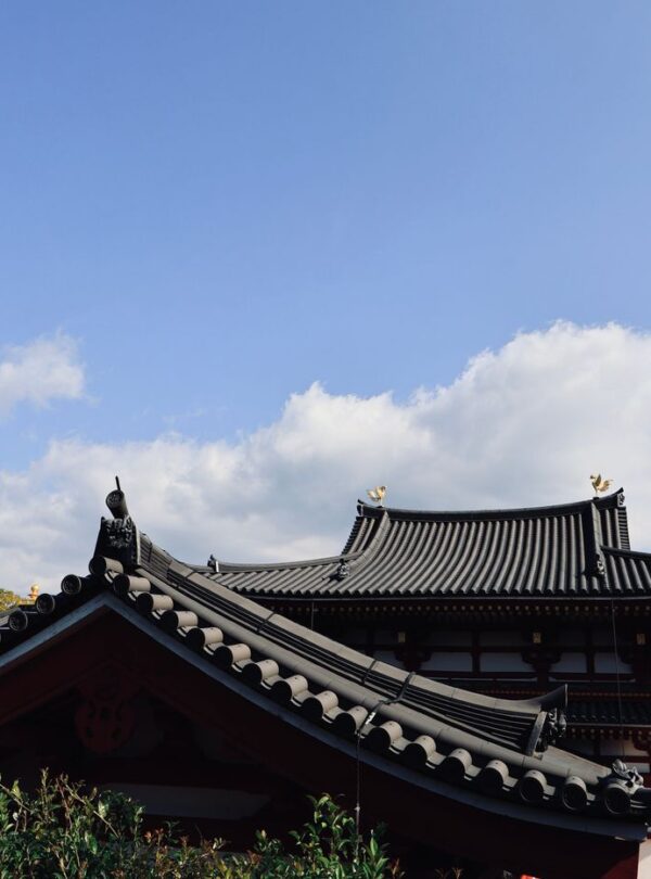 Beautiful traditional temple roof with intricate carvings set against a clear blue sky in Nara, Japan.
