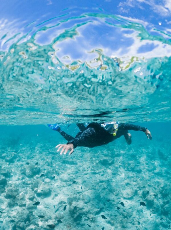 Anonymous person in wetsuit and goggles swimming in turquoise seawater beneath blue sky on sunny weather