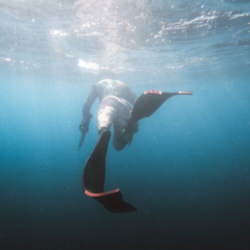 Silhouetted diver swimming underwater in ocean with sunlight filtering through, Japan location.