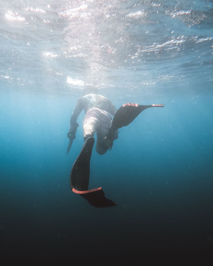 Trip Search Result Silhouetted diver swimming underwater in ocean with sunlight filtering through, Japan location.