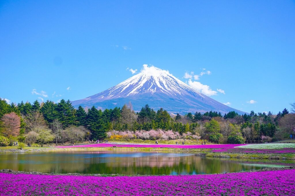 mount fuji, lake, mountain, park, flower background, nature, flowers, beautiful flowers, flower wallpaper, japan, spring