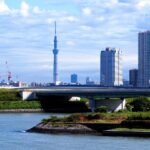 tower, sky tree, tokyo, high rise building, urban, japan, rainbow bridge, fujimi bridge, odaiba, tokyo, tokyo, tokyo, tokyo, tokyo, japan, rainbow bridge, odaiba, odaiba, odaiba, odaiba