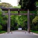 A serene view of a wooden Torii gate surrounded by lush greenery in Japan's Meiji Shrine.